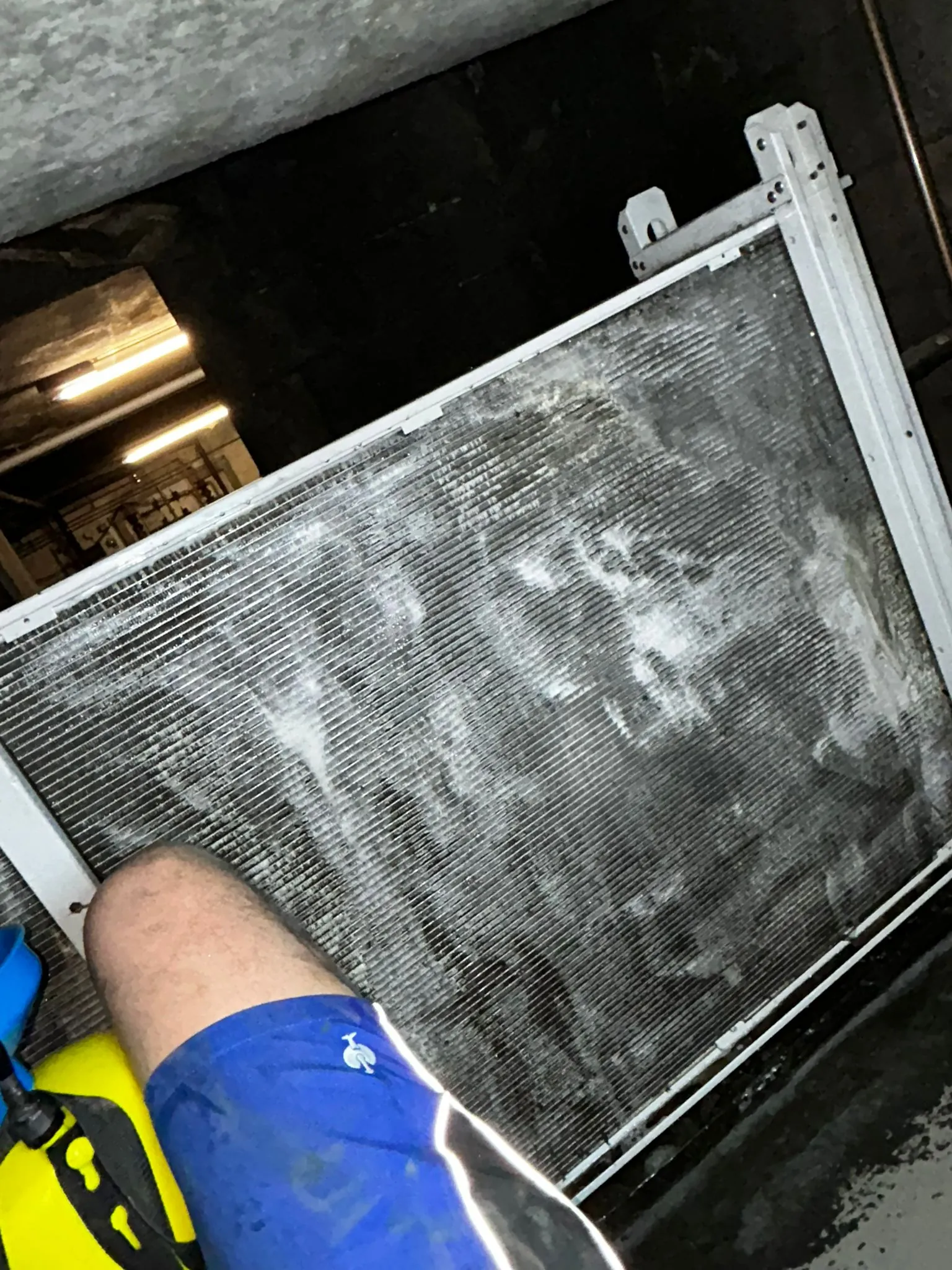 IMG-20260507-WA0030_large