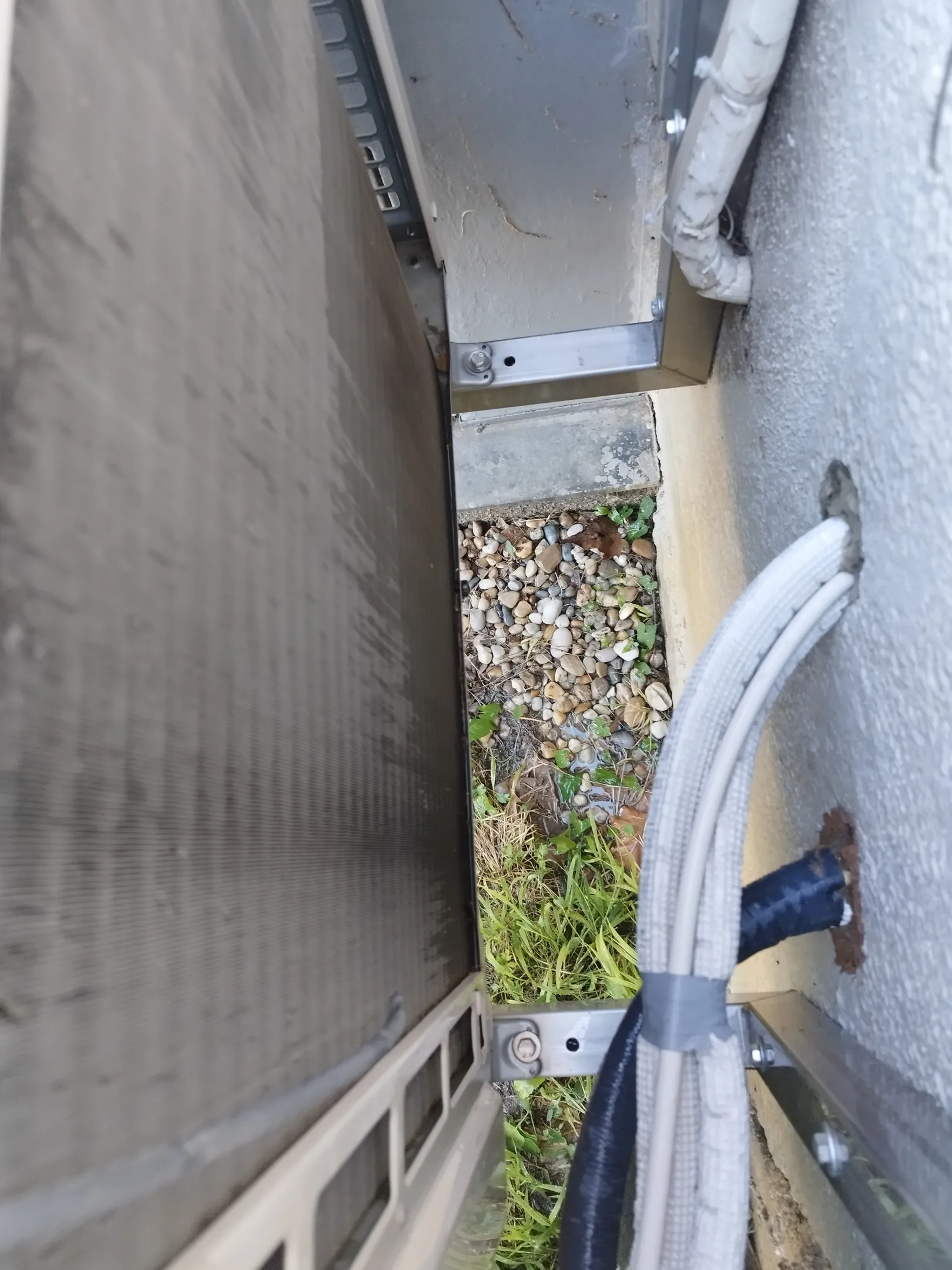IMG_20250819_095216_large