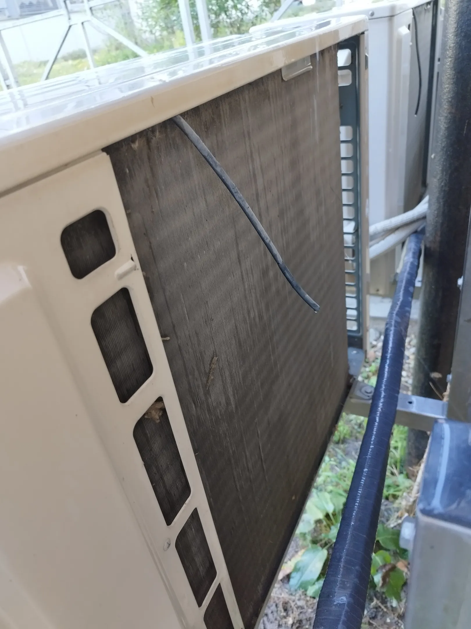 IMG_20250819_095226_large