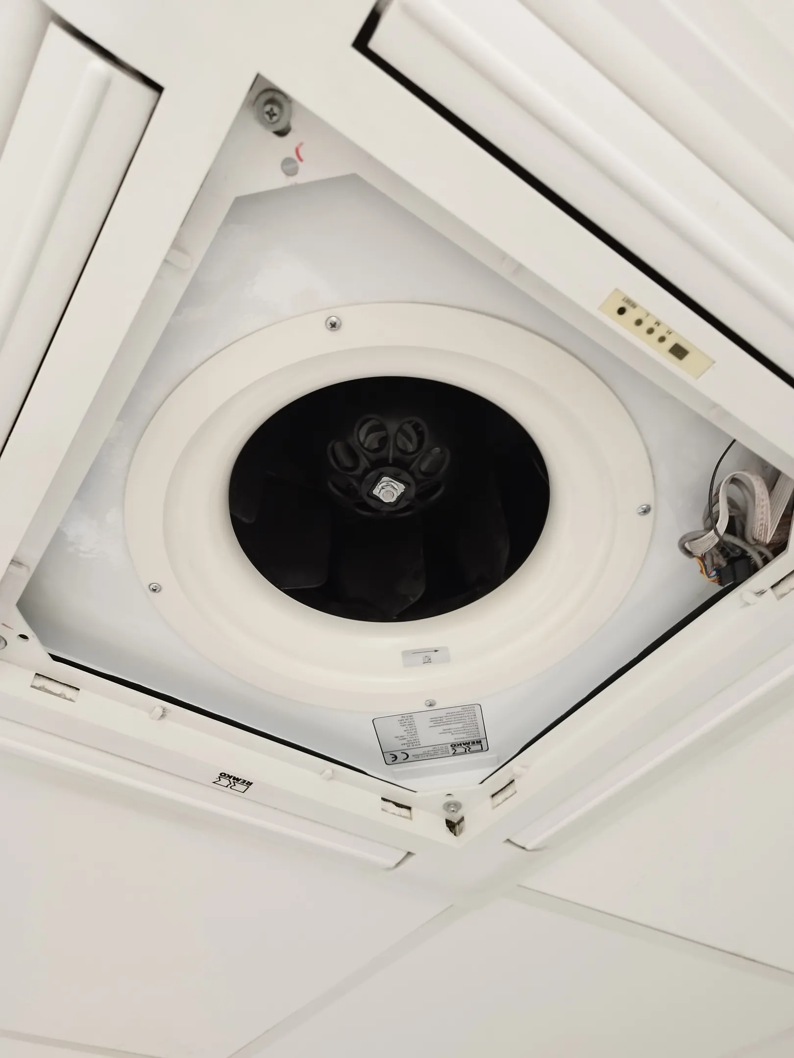 IMG_20251013_141611_large